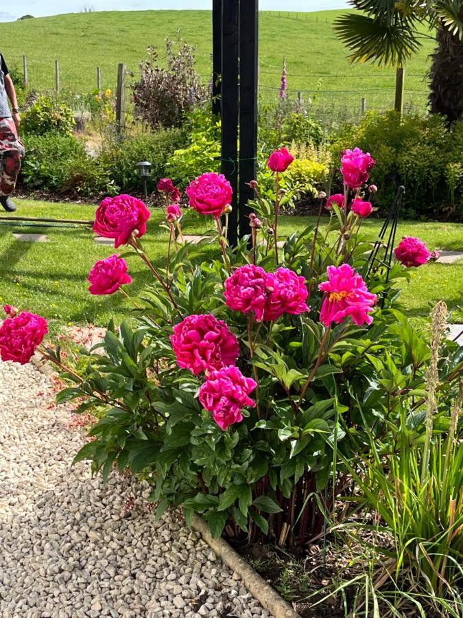 Bed and Breakfast Retreat At The Knowe Auchincruive Estate Эр Экстерьер фото