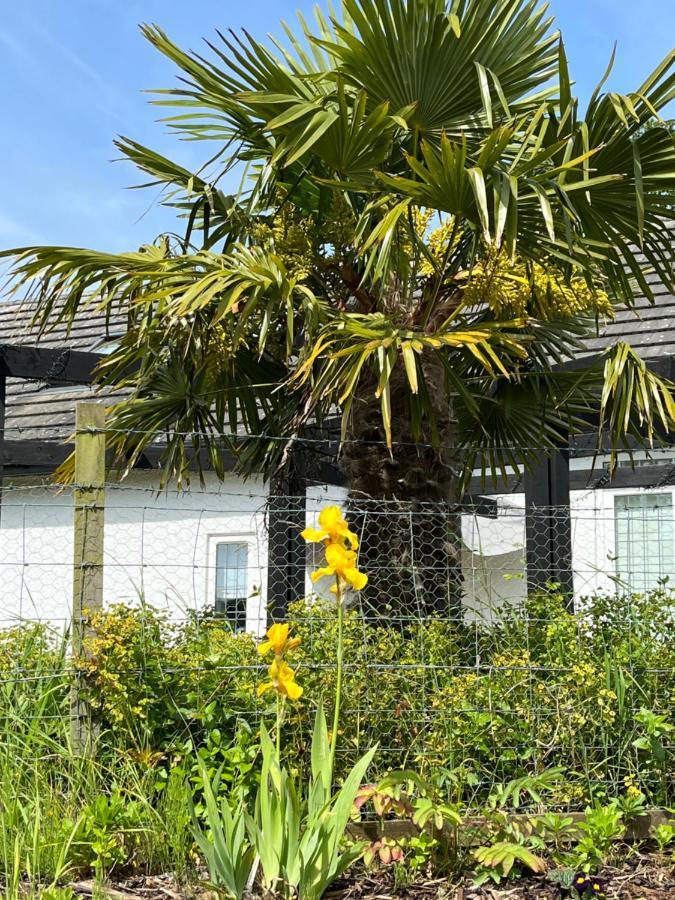 Bed and Breakfast Retreat At The Knowe Auchincruive Estate Эр Экстерьер фото